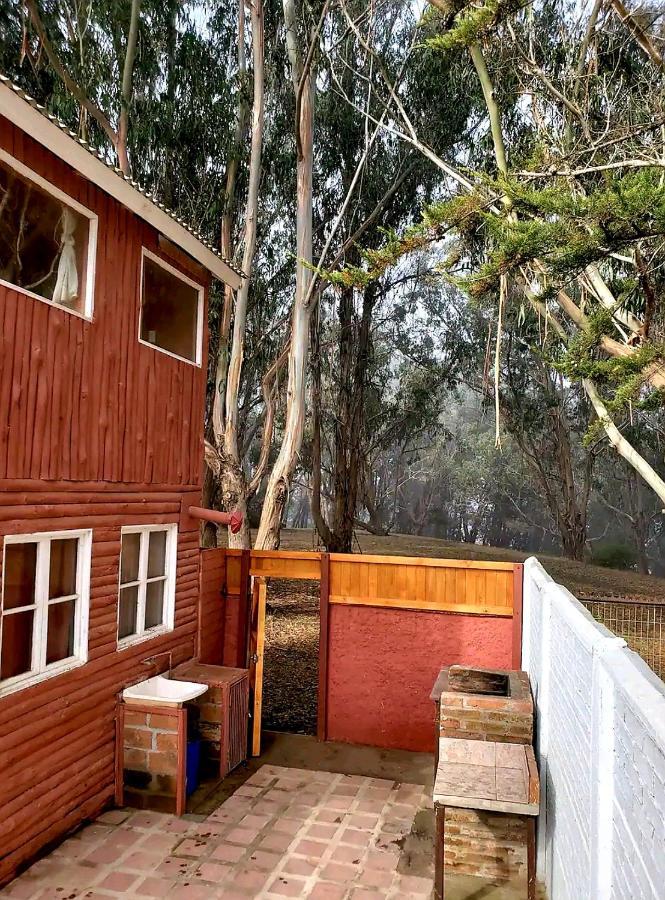 Cabaña Isla Negra Exterior foto